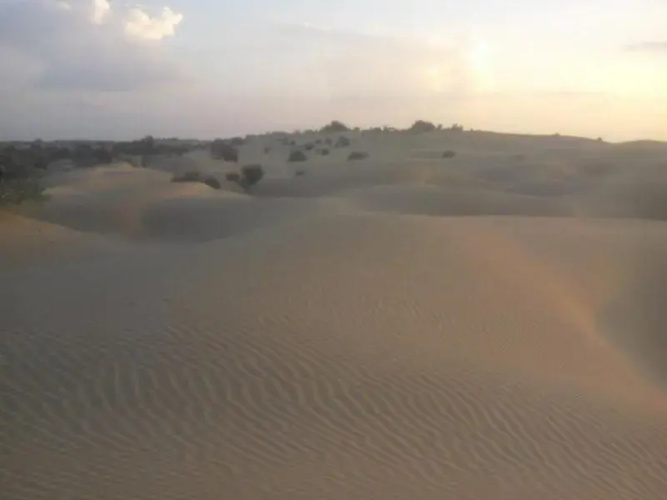 Chandani Desert Resort and Camp