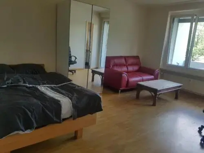 Lovely 1-bedroom rental unit with bath tub.