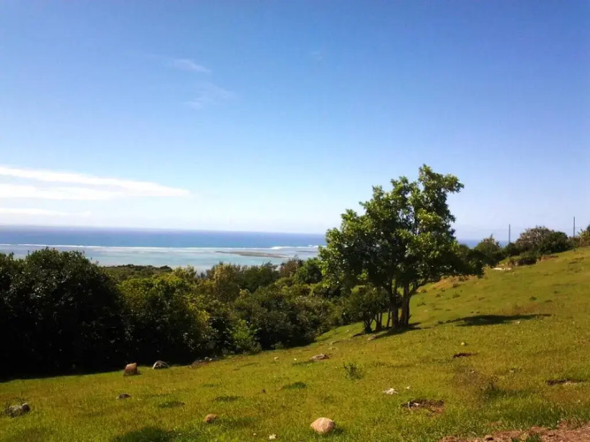 Le Paradisier Guest House