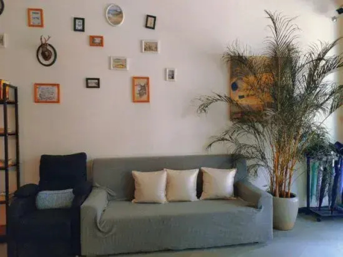 365 Boutique Homestay