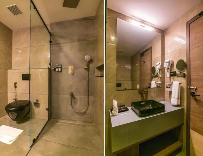 Premium Double room with balcony and with city view