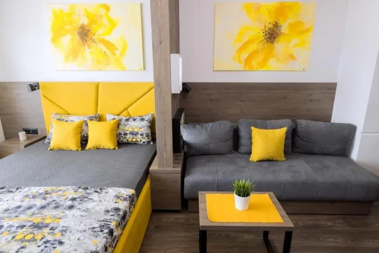 1 Bedroom Apartment