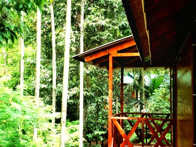 Cottage