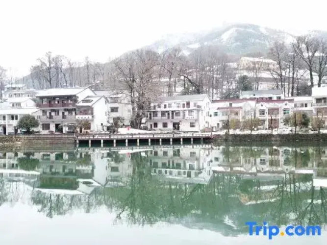 Hangzhou Linan Old Maple Tree Valley-view Hostel