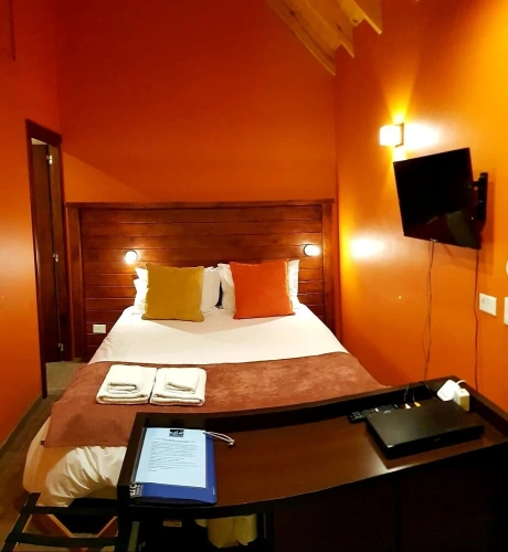 1 Bedroom Suite