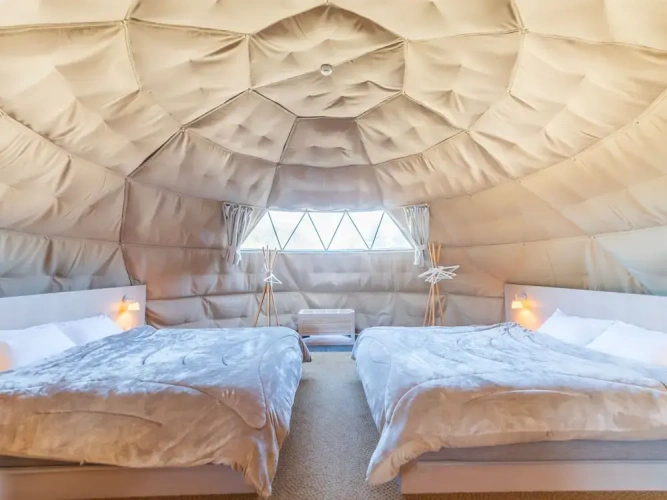 Executive Twin Suite