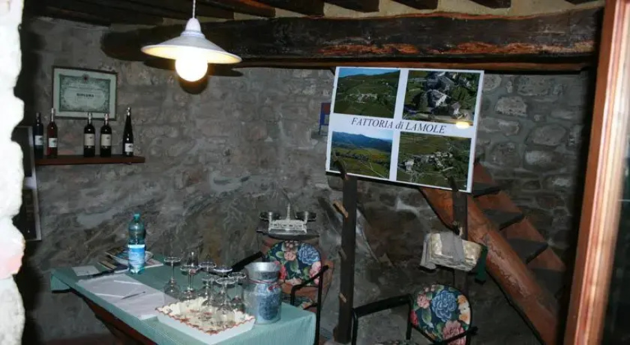 Fattoria di Lamole - Il Pozzo
