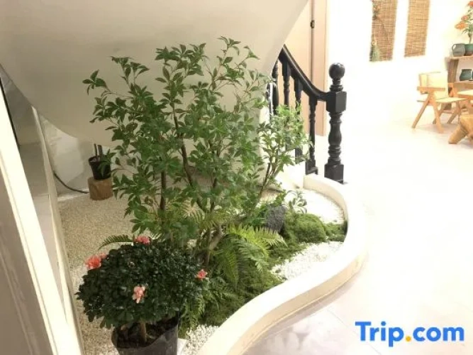 Luxury Double room