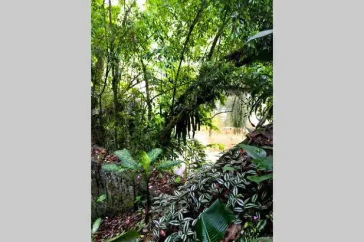 Villa Cachoeira da Rocha