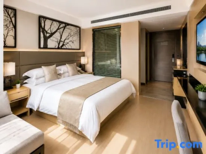 1 Bedroom Executive Suite with city view