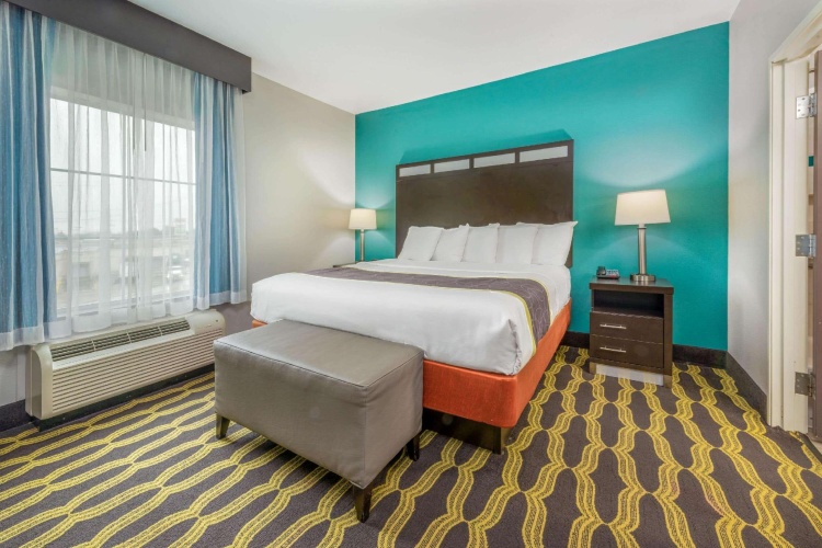 1 Bedroom Double Suite