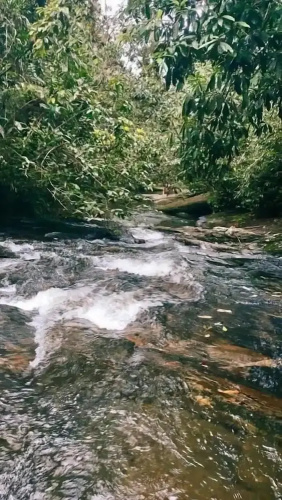 Pousada Ohana Paraty