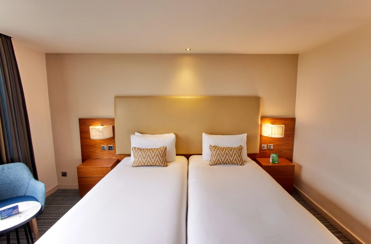 Deluxe Twin room with garden view