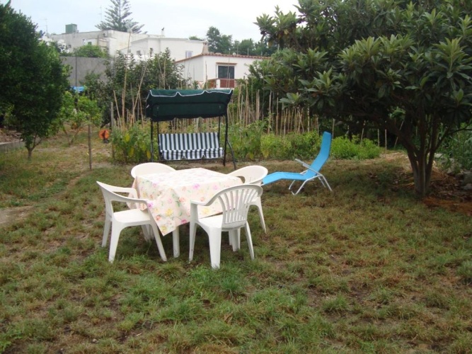 Apartment with garden view