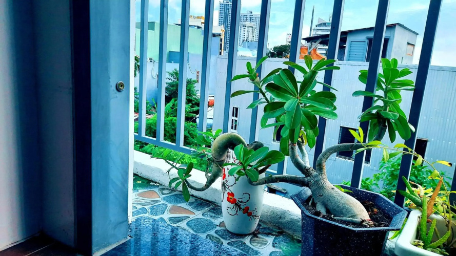 Sena home 3rd-Overlooking Danang Dragon bridge-Han river