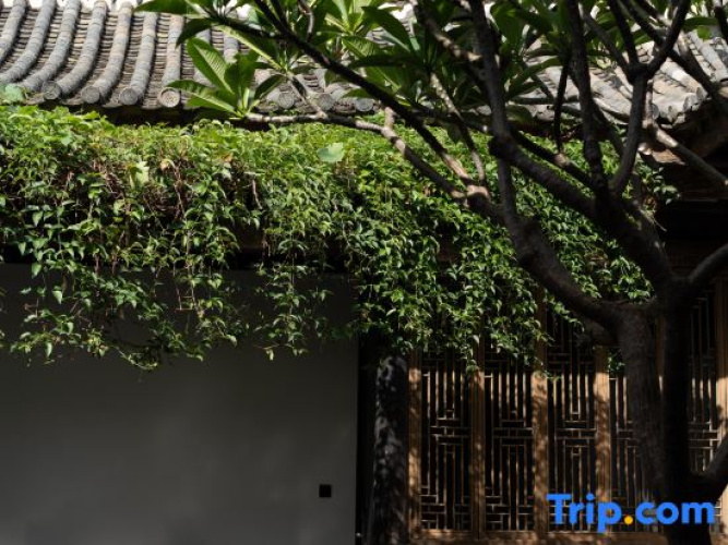 Ting Zi Yun Resort