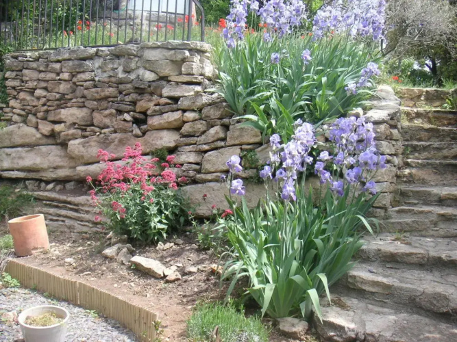 Le Jardin DAdam BB