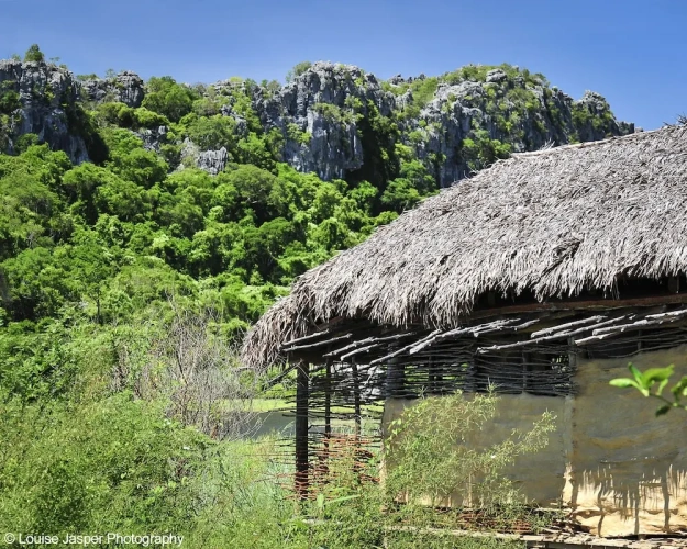 Bungalow