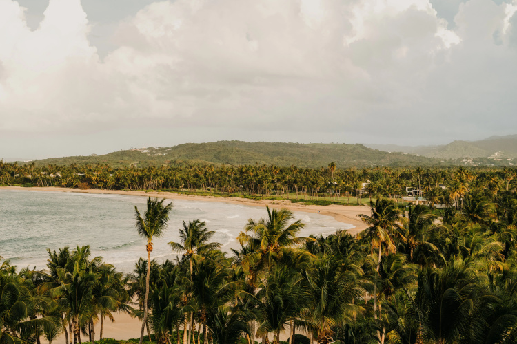 The St. Regis Bahia Beach Resort, Puerto Rico photo 30
