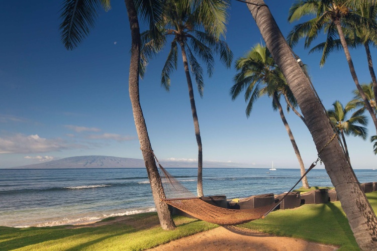 Hyatt Regency Maui Resort & Spa photo 29