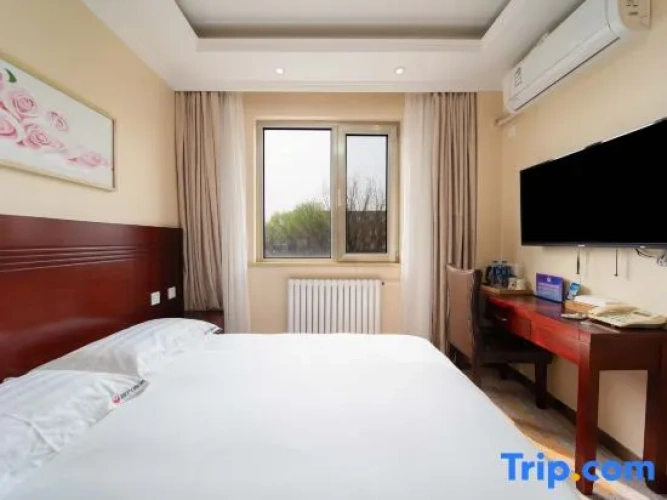 1 Bedroom Business Suite