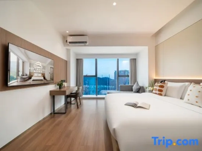 Business Double room with city view