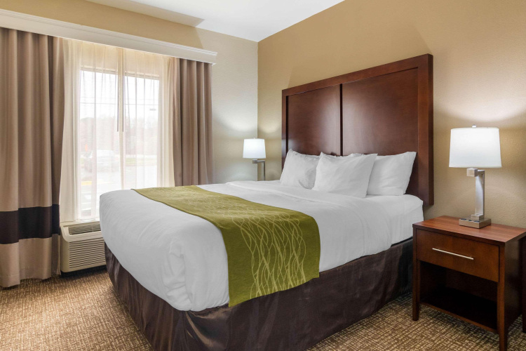 Comfort Inn & Suites Griffin North
