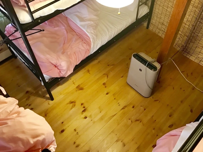 Bed in Dorm (female dorm)