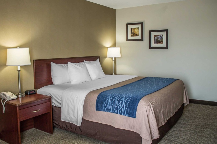 Standard room