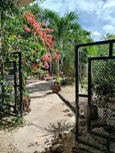 Casa Otilia - Hospedaje