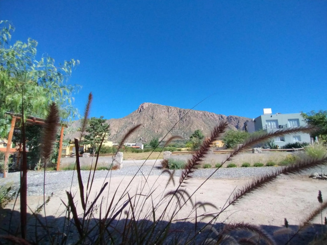 Los Aromos