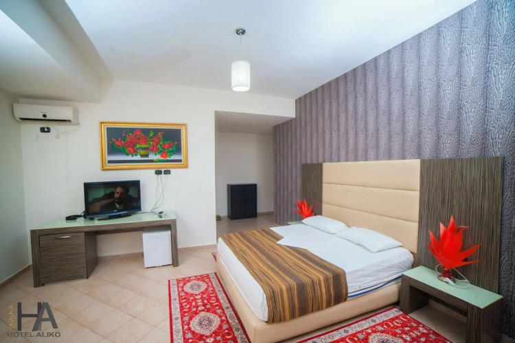 Hotel AlikoOver view