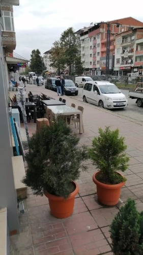 Zingila Apart