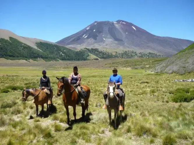 Fundo Laguna Blanca