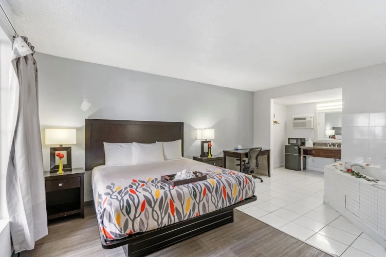 Luxury Single room