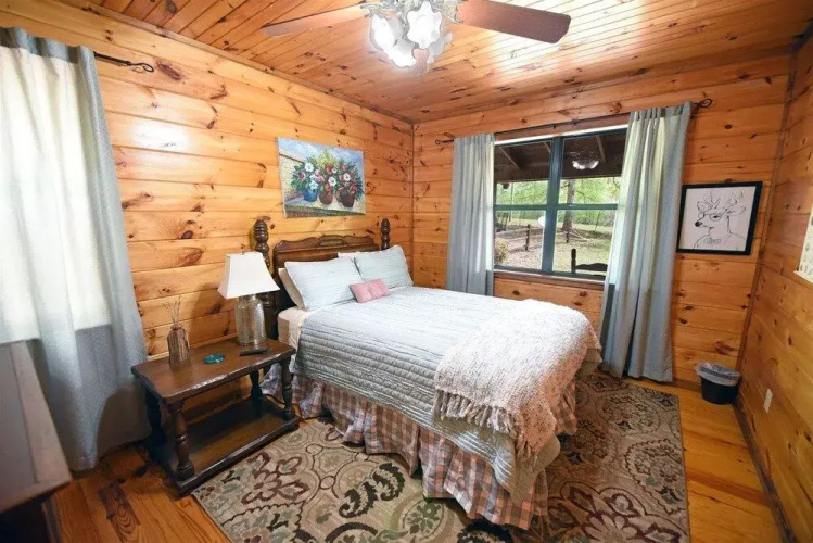 Knotty Pony Cabin- Blue Ridge