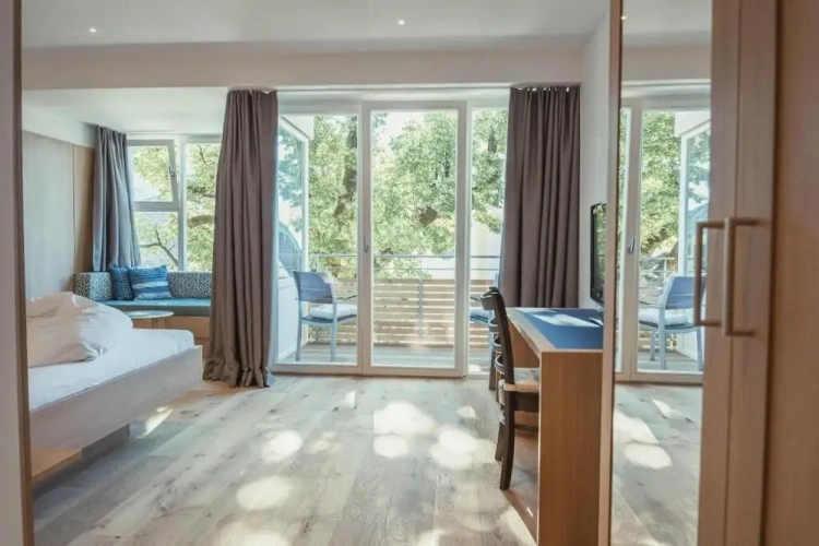 Deluxe Double room with balcony and with mountain view