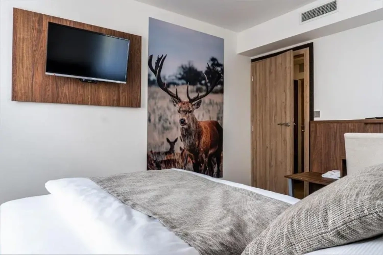 Standard Single room