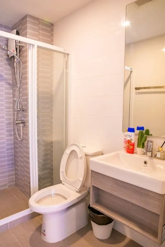 1 Bedroom Comfort Apartment