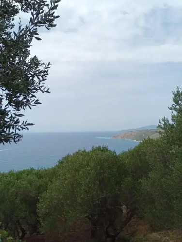 Casa vacanze Nica