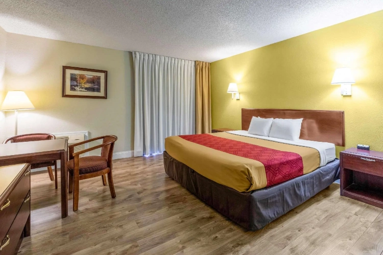 Standard Double room with river view