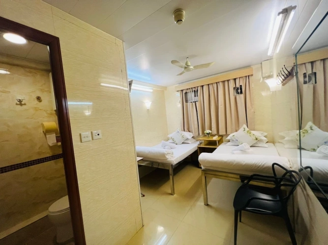 Deluxe Triple room with park view