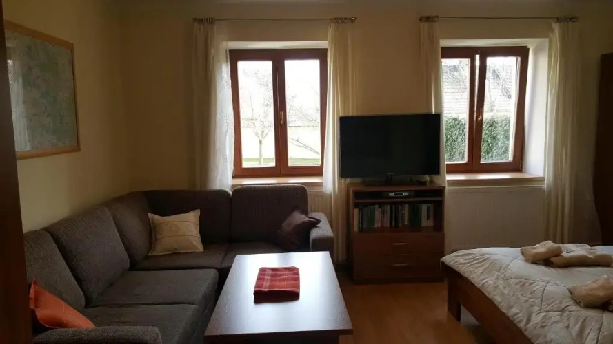 Studio with garden view