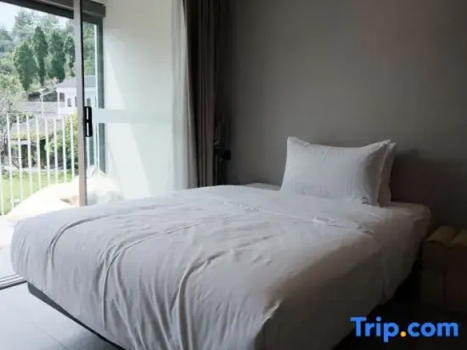 Comfort Suite