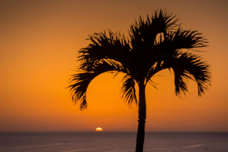 Pestana Royal All Inclusive Ocean and Spa Resort photo 30