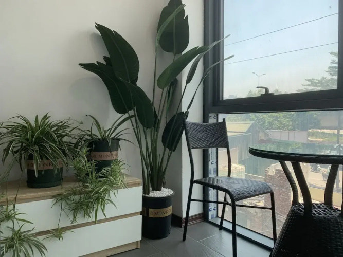 Ann's Hotel & Apartment