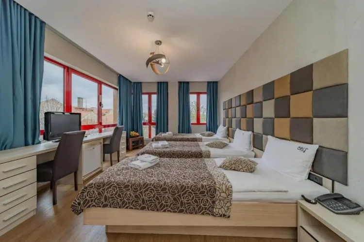 Deluxe Triple room