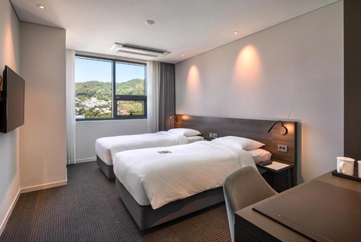 Superior Twin room with city view