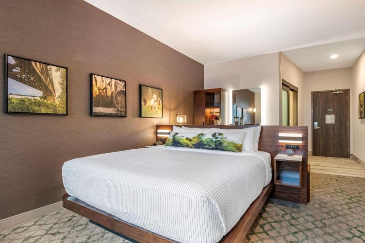 Standard Double room