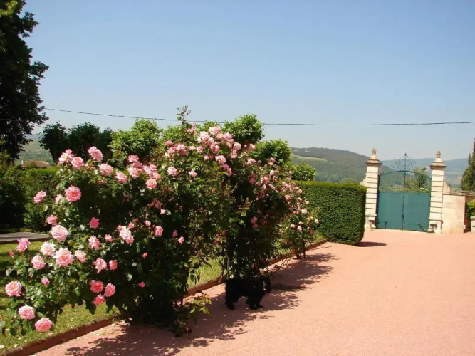 La Gentilhommière de Collonges